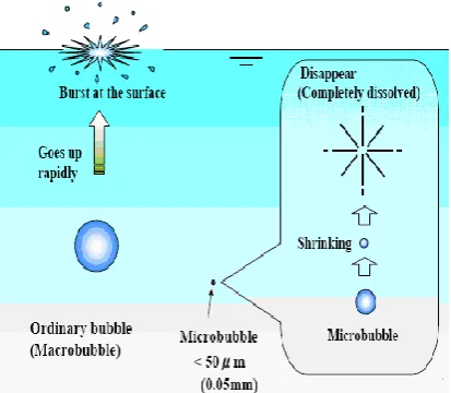 Fig. 1: Basic difference between an ordinary bubble  and a microbubble.  