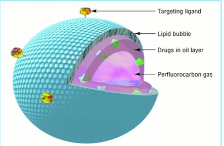 Figure 2: Shows a schematic diagram of a cross flow  membrane emulsification process.  