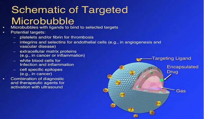 Fig. 8: Schematic diag. of a Microbubble used for targeted imaging. 
