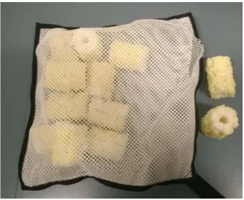 Figure 33 - Clean Smart Sponge Skimmer 