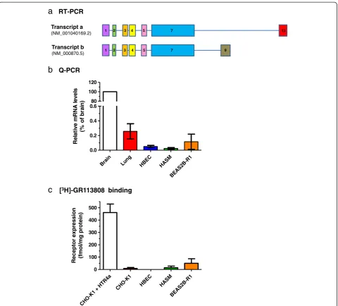Figure 5 Expression profiling ofb (NM_000870.5) in total brain tissuefor transcript a, however transcripts a and b were differentiated by the presence of exon 13 or 9 respectively