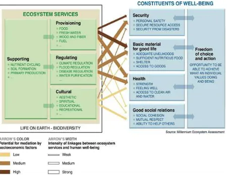 Figure 2.4 Millennium Ecosystem Assessment of services to well-being (MEA, 2005). 