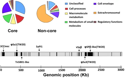 Figure 1. Functional classification of genes assigned to core and non-core regions based on an adapted version of Riley’sclassification.Tnwell characterised mobile elements highlighted ( The non-core is dominated by ‘‘extrachromosomal elements’’