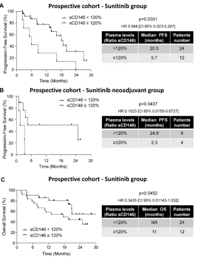 Figure 2. Variations in the sCD146 plasmatic levels were indicative of PFS and OS for patients treated with sunitinib