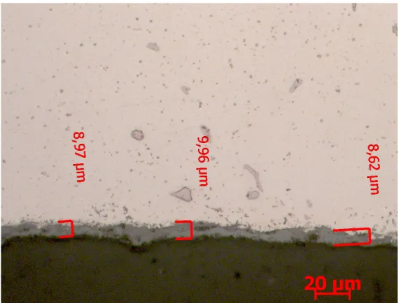 Figure 15: Overview of ring specimen after SR test by binocular (800°C – 400MPa). 