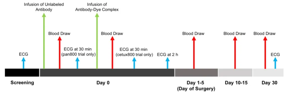 Figure 1. Flow diagram of the cetuximab-IRDye800CW and panitumumab-IRDye800CW clinical trials