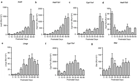 Figure 5 Transcript profiles measured for specific genes by qRT-PCR in RNA extracted from intact testes of untreated Sprague–Dawley rats culled at the daysindicated (mean6s.e.m.; n54)