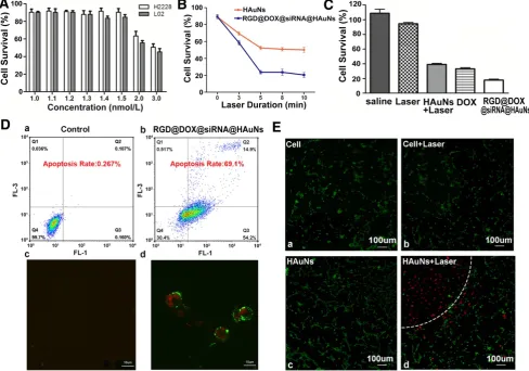 Figure 5. different concentrations of bare HAuNs. duration times. Treatment efficacy of RGD@siRNA@MPA@HAuNs at a cellular level