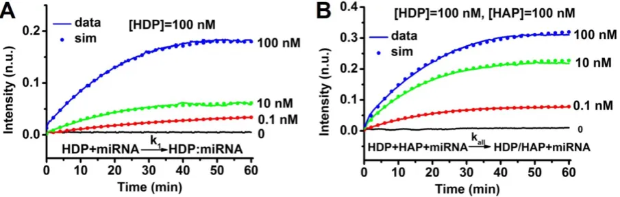 Figure 2. miRNA-373 from modelled reactions, assuming a rate constant of kCharacterization of CHA kinetics