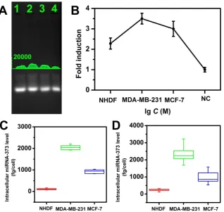 Figure 7. The CHA gel assay results and corresponding gray curves for multiple miRNA detection