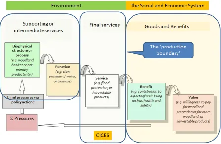 Figure 2.2. Ecosystem service cascade model (CICES, 2013). 