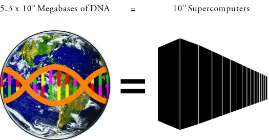 Fig 1. Storing the total amount of information encoded in DNA in the biosphere, 5.3 × 1031 megabases (Mb), would require approximately 1021supercomputers with the average storage capacity of the world’s four most powerful supercomputers