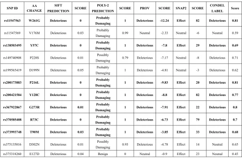 Table 1.  List of nsSNP analysis by SIFT, PolyPhen-2, PROVEAN, SNAP2, CONDEL 