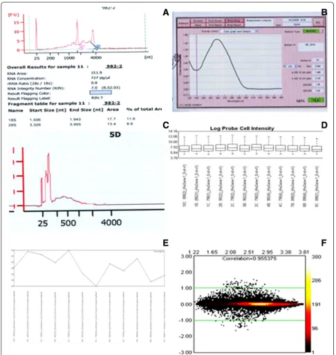 Figure 6 Composite image of Quality Control metrics applied in Gene 1.0 ST array. Image A is of an Agilent assay of a RNA sampleshowing two peaks 18S and 28S of ribosomal RNA