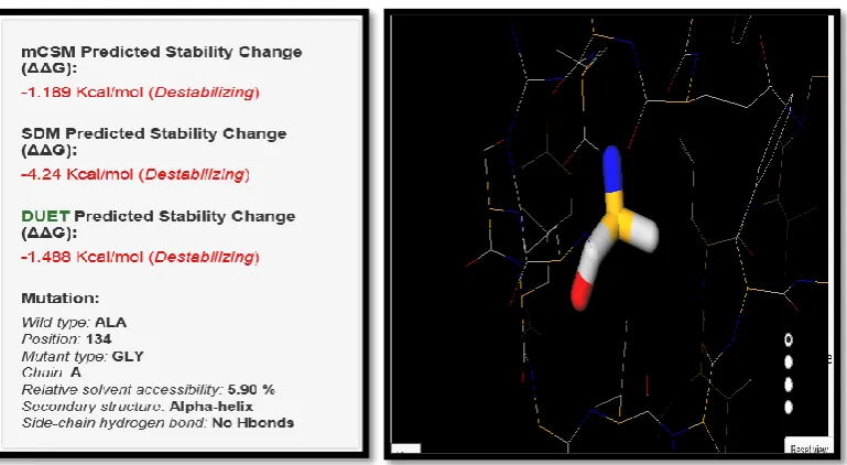 Figure 14.  TYR71HIS SNP analysis by DUET server 