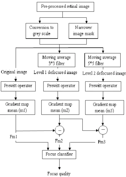 Figure 1: Focus Assessment Algorithm Flowchart 