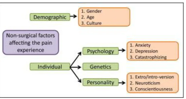 Figure 2.1: A summary of the individual and demographic factors affecting pain 