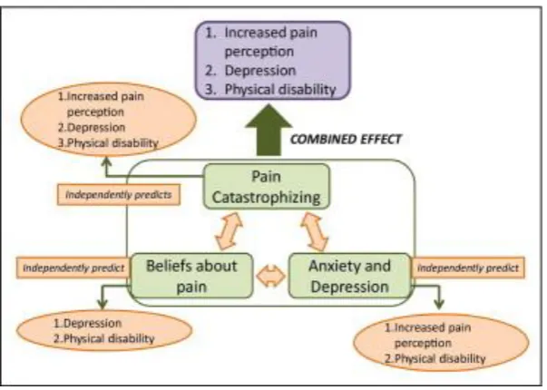 Figure 2.2: Association of catastrophising with other psychological factors and their 