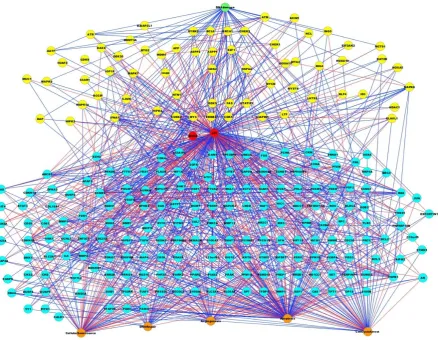 Figure 1. The PMH260 p53–DNA damage model. Five layers are observed in accordance with node function; the input signal of DNA damage (green), upstream of p53 (yellow), the network hub, p53 contained within the crucial feedback loop with MDM2 (red), downstr