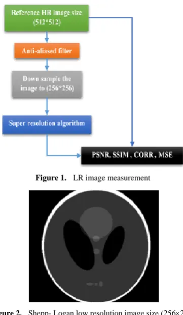Figure 2.  Shepp- Logan low resolution image size (256256) 