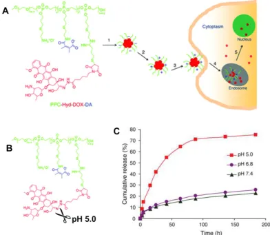Figure 12. (A) Illustration of the dual tailor-made pH-responsive polymer-drug conjugate to inhibit drug-resistant cancer stem cells