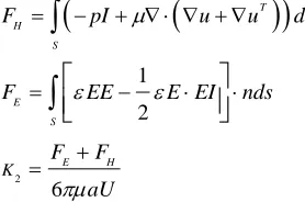 Fig 2: Microscopic view of problem geometry 