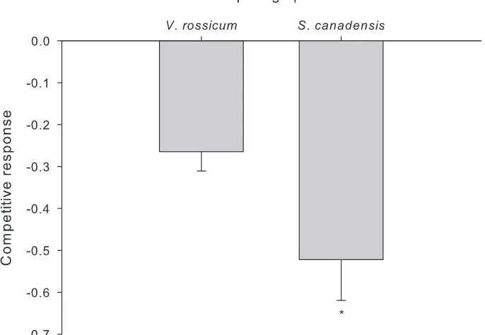 Figure 3. Competitive response (i.e., calculated by the ln of the relative yield, calculated by dividing the total biomass of an individual plant grown with a competitor by the average total biomass for that same plant species grown alone) of V