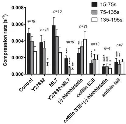 Fig. 6. Vesicle compression rates after genetic or pharmacologicalinhibition of proteins participating in actin coat compression.Compression rates were calculated for 60-s intervals during vesiclecompression as described in the Materials and Methods sectio