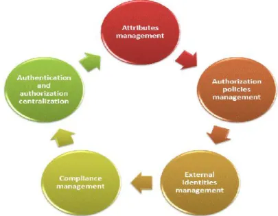 Figure 2. IAM core operational activities