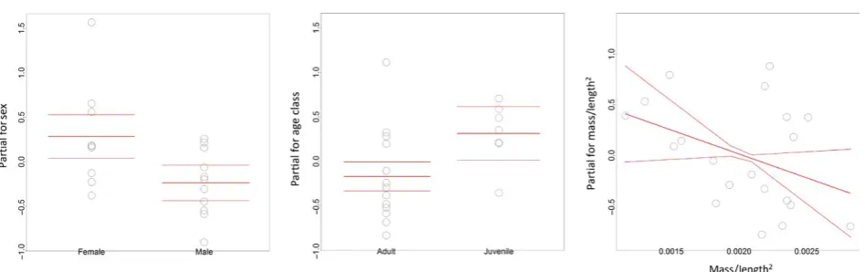 FIGURE 4 Partial termplots for the covariates retained in the final two best- fitting generalized linear models following variable selection: weakly significant negative relationship between mass/lengthSignificantly higher cortisol concentrations were meas