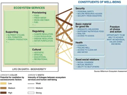 Fig. 2-3: Relationships among Ecosystem Services and Human Well-being (MA, 2005, p.vi)  