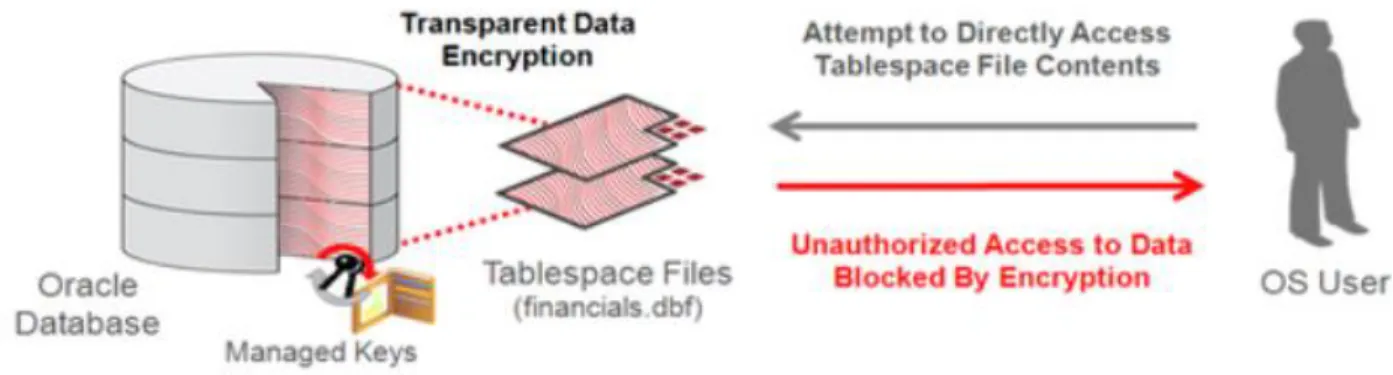 Figure 4. Oracle and TDE 