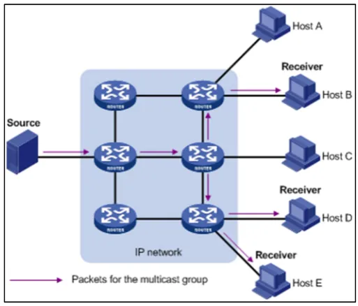 Figure 2-2 Multicast delivery [7]