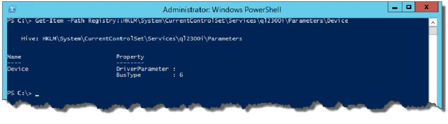Figure 4. QLogic QLE2562 Device Parameters. 