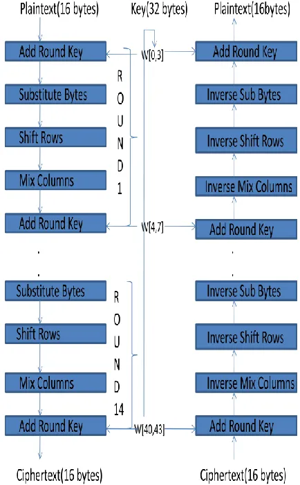 Figure 3: Ad hoc network 