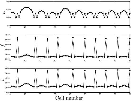 Figure 2: The steady-state pattern obtained from numerical simulation of the system(1)–(3) at t = 1000h in a line of 80 cells with periodic boundary condition indicatingthat the patterns typically obtained from (1)–(3) display approximate periodicitywith d