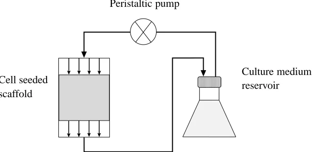 Figure 1: Layout of the bioreactor system of El Haj et al. (1990).