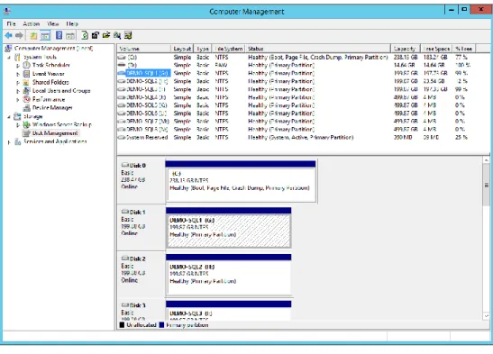 Figure 4. Not Initialized and Offline disk. 