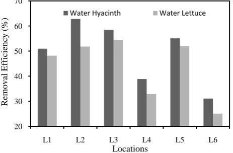 Figure 4.  Removal efficiency of different plants for pH at different locations 