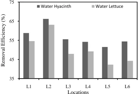 Figure 7.  Removal efficiency of different plants for total hardness at different locations 