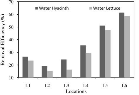 Figure 11.  Removal efficiency of different plants for DO at different locations 