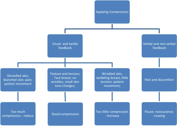 Figure 3 – The influence of visual, tactile and client feedback on the decision making process during the application of compression force 