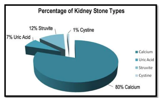 Figure 2 - Percentage of kidney stone types 