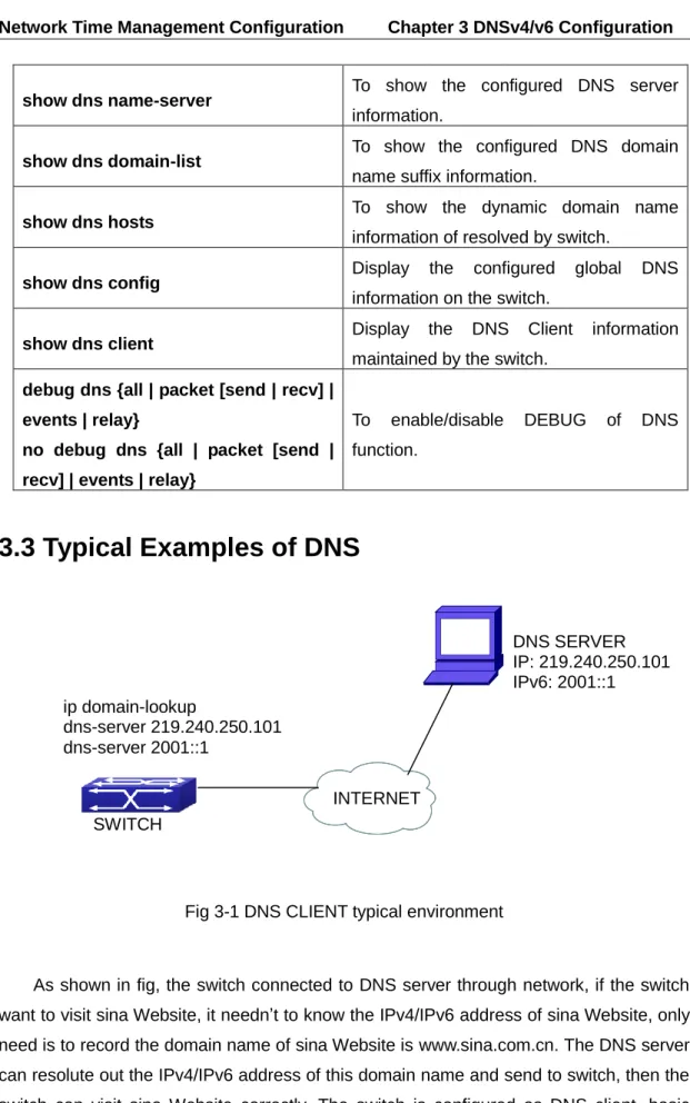 Fig 3-1 DNS CLIENT typical environment 