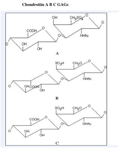 Figure 1.2: Structure of different types of CS 