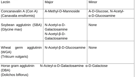 Table 3.1 Table showing the different carbohydrates used in the analysis of lectin binding and their carbohydrate specificities (Major and Minor)