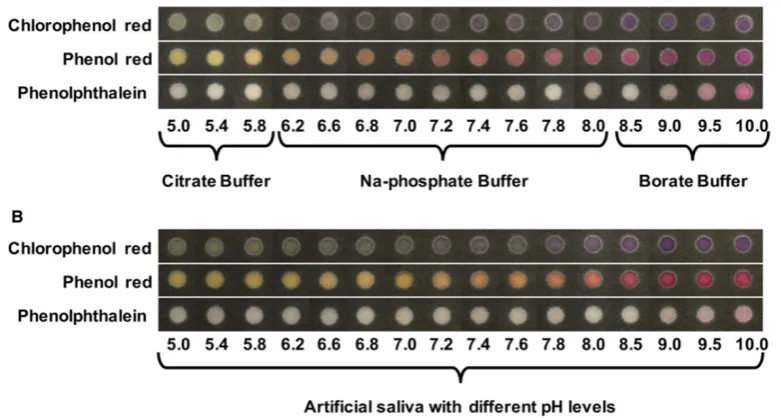 Figure 5. Calibration curves displaying the linear range of nitrite, from 0.1 mg/dL to shown on the right side of calibration curves correspond to the different nitrite 2.4 mg/dL of nitrite in artificial saliva containing 1.00% SCMC (n=6)