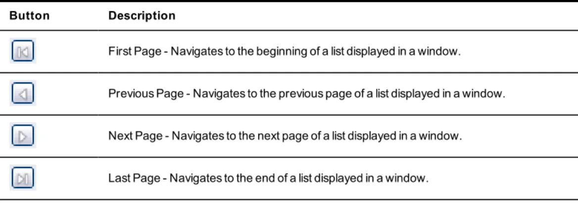 Table 3.4: DSView Explorer Page Navigation Buttons