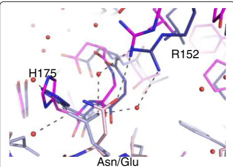 Table 2 Cα to Cα distance (Å) between UmuC-peptide complex structures and previously solved complexes