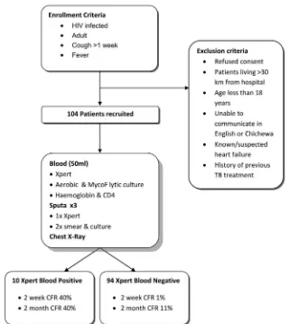 FIG 1 Flow chart of enrollment and exclusion criteria, study procedures, and survival analysis groups by Xpert MTB/RIF blood assay result